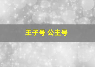 王子号 公主号